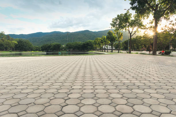 Best Driveway Paving Contractor  in Geneva, AL